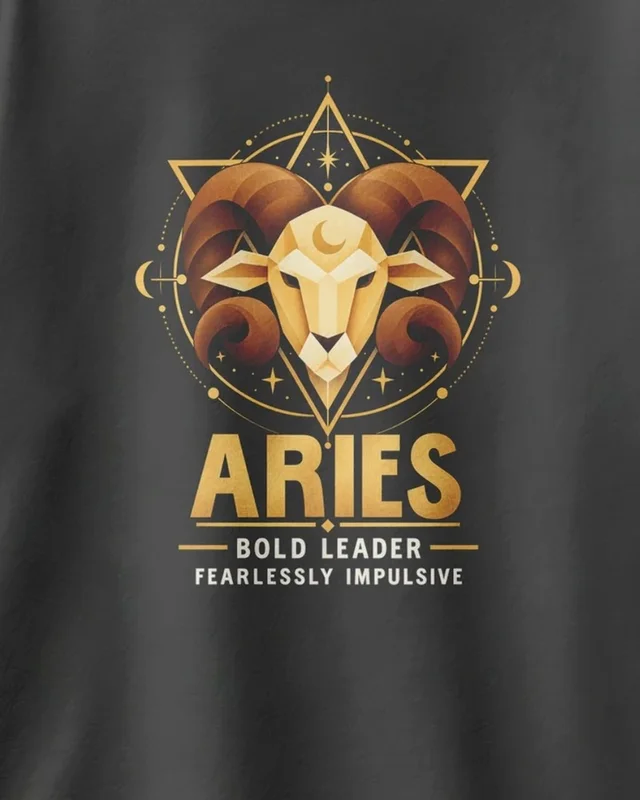 Aries Oversized T-Shirt in Black — design detail